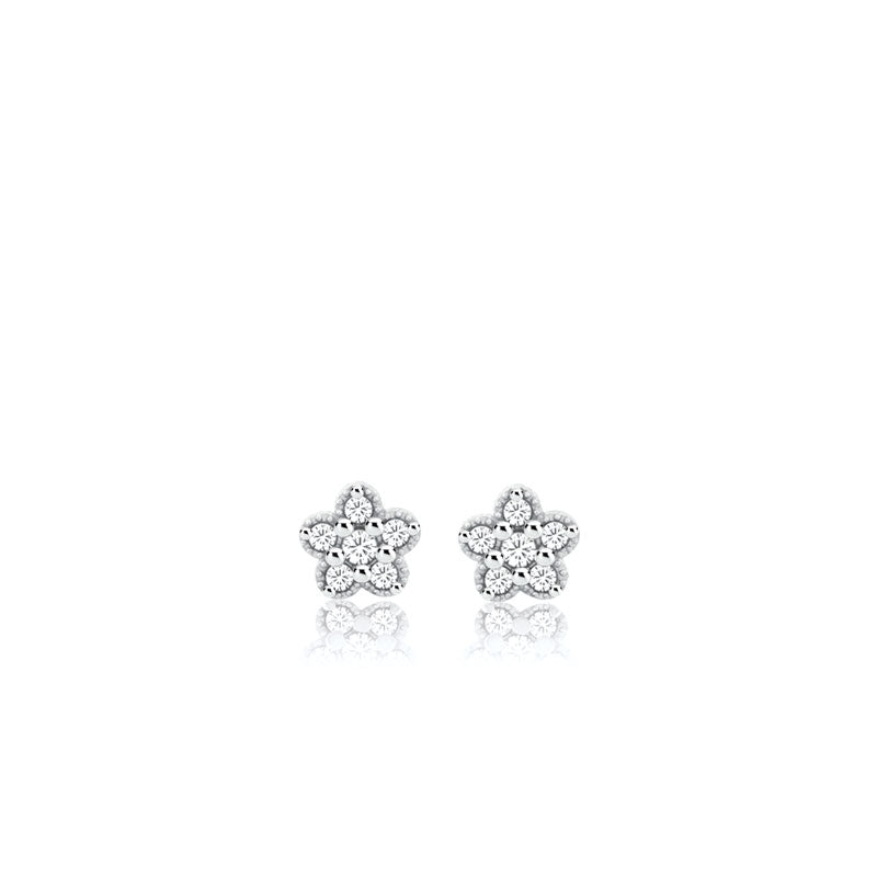 Boucles D'Oreilles Cartouche